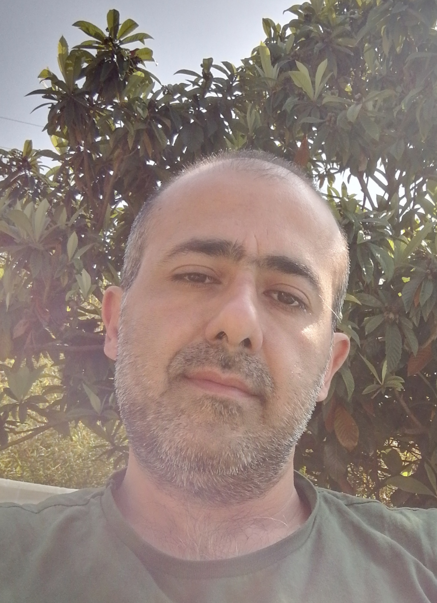 امیر بهروزی فر